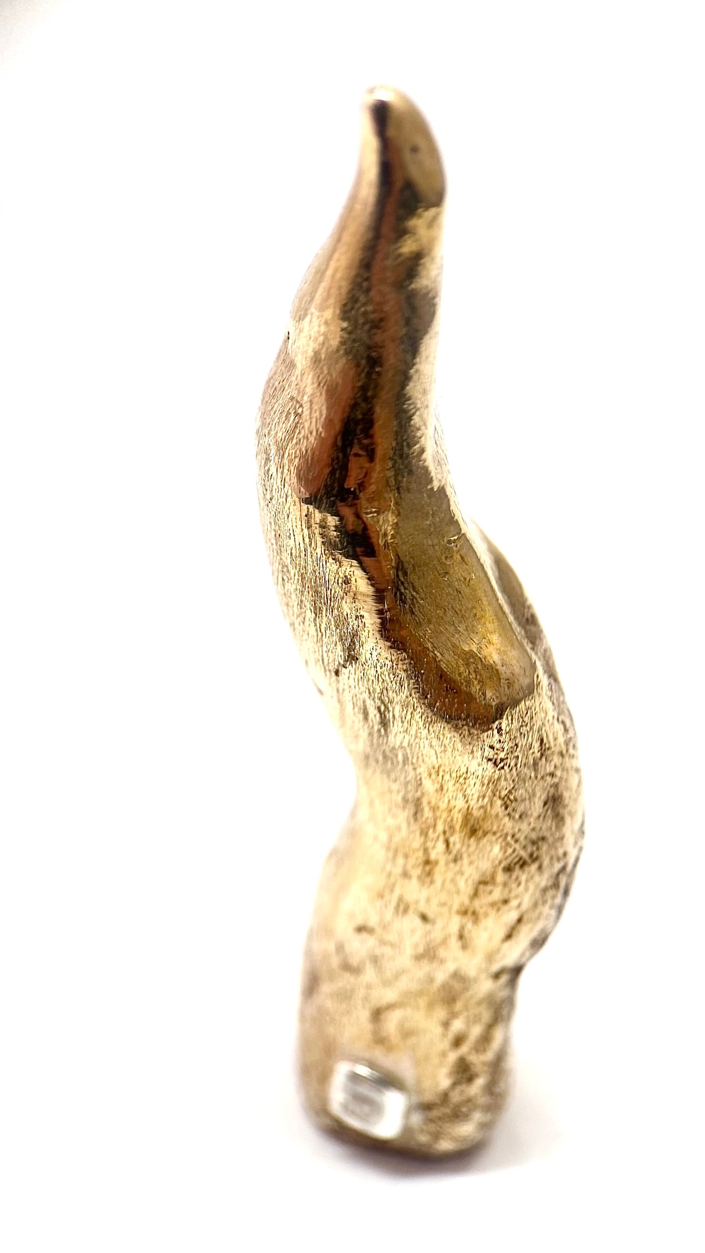 MINIATURE Ò CUORN