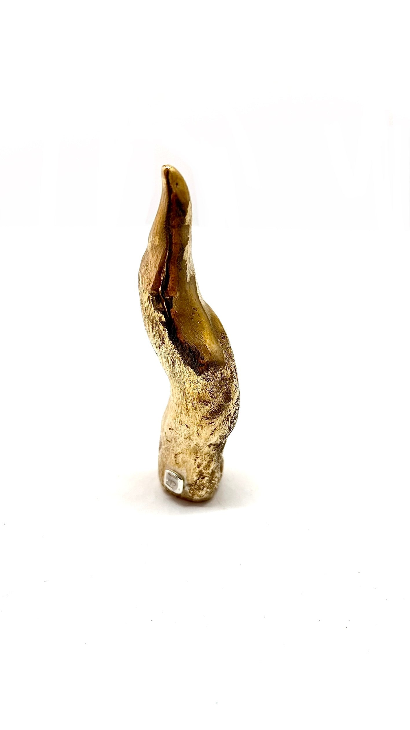 MINIATURE Ò CUORN