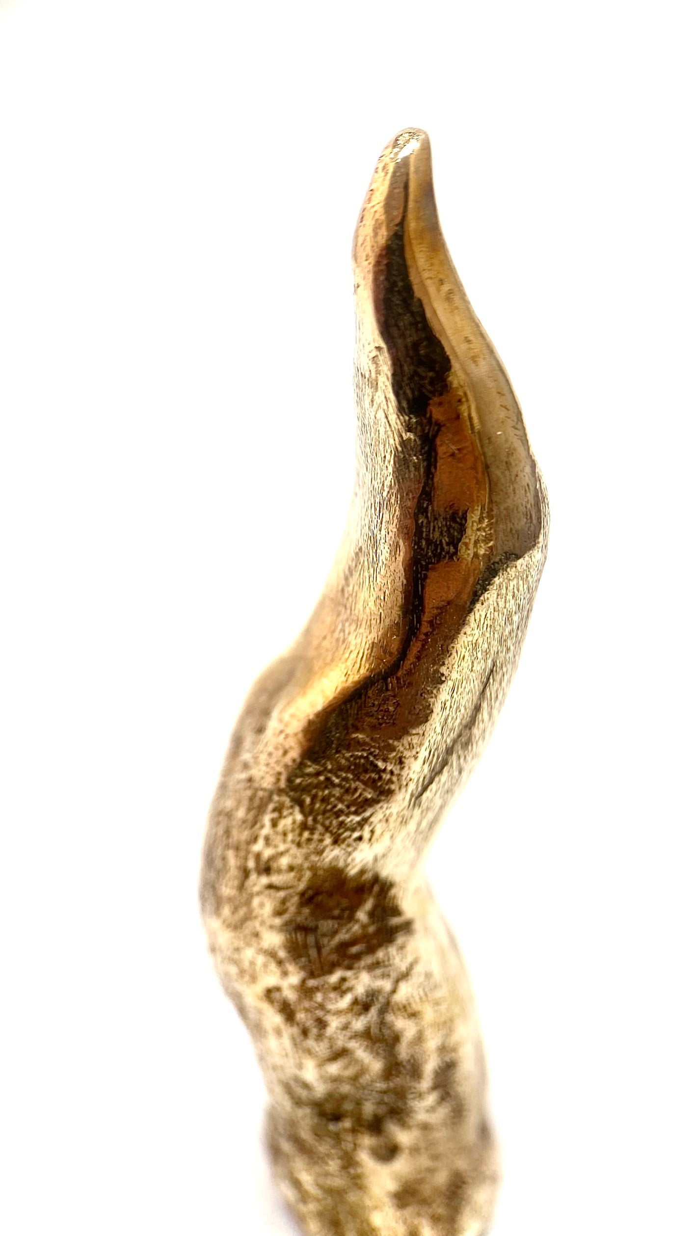 MINIATURE Ò CUORN
